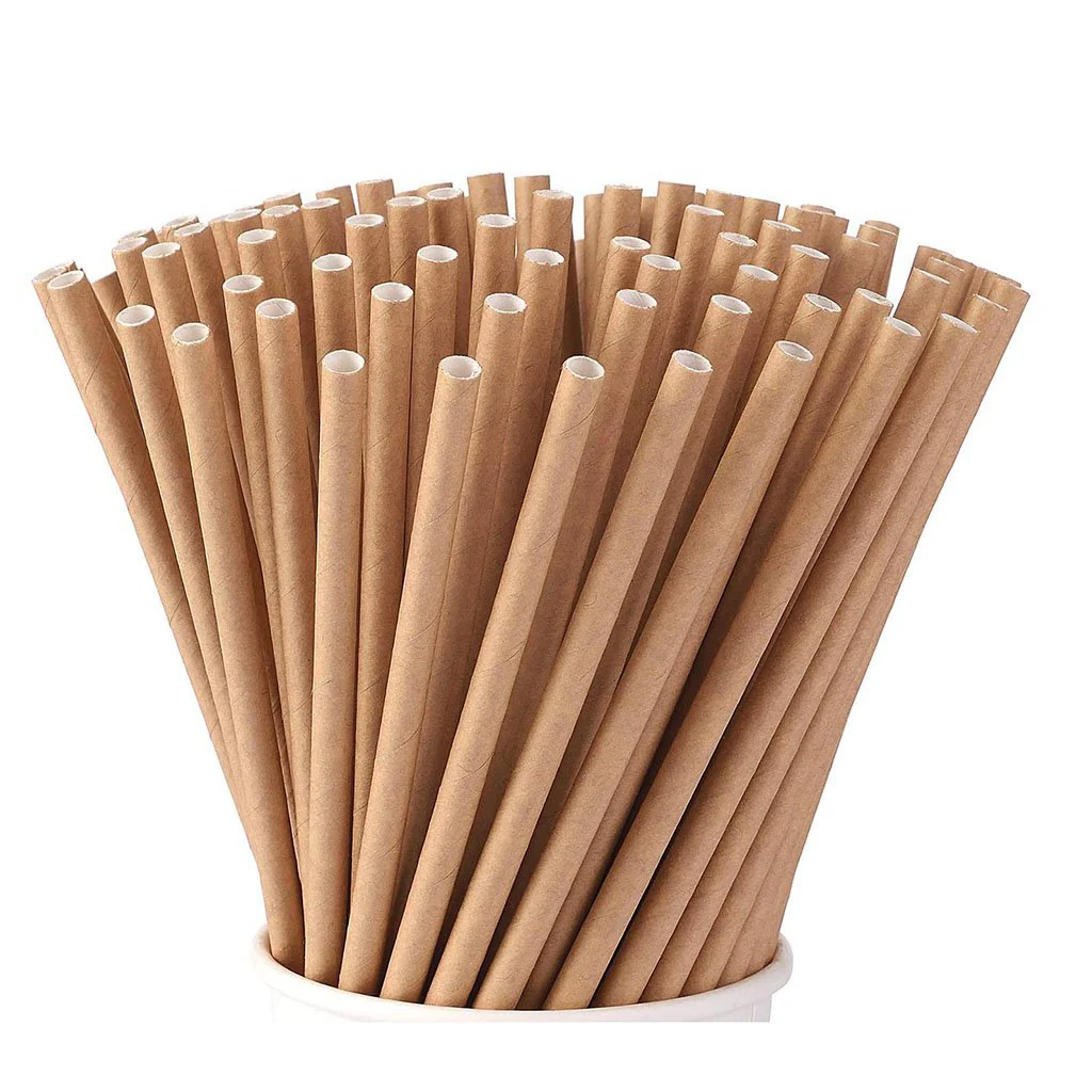 Cardboard Straw